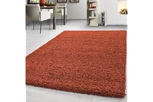 Teppium Moderno Tappeto Salotto 240 x 340 cm Terracotta - Shaggy Tappeto per scendiletto Camera da Letto, Cucina y Soggiorno - Tappeto Morbido y Fluffy, Monocromatico, facile manutenzione