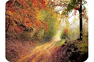 Autumn Delight - Glass Worktop Saver/Protector | Cutting Board - by Pearl Glass (40 x 30cm Medium)