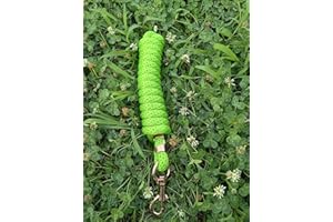 TGW RIDING Longe pour Cheval - Tricot de Liaison dans différents Designs élégants - pour Poney, âne, chèvre Horse Lead Rope (Vert, Rosegold Clip)