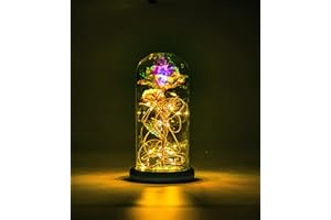 NAWEIDA Galaxy Rose Flower, Infinity Rose in Glass Dome, Beauty and The Beast Rose Led Light String on Galaxy Rose Flower for Women Her Girlfriend Grandma Wife Sister Valentines Anniversary