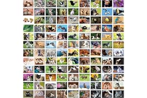 Clever Pool : 108 cartes postales imaginatives avec motifs d'animaux uniques - Designs et motifs sélectionnés - Plaisir à collectionner pour petits et grands - Un kit de postcrossing pour amoureux.