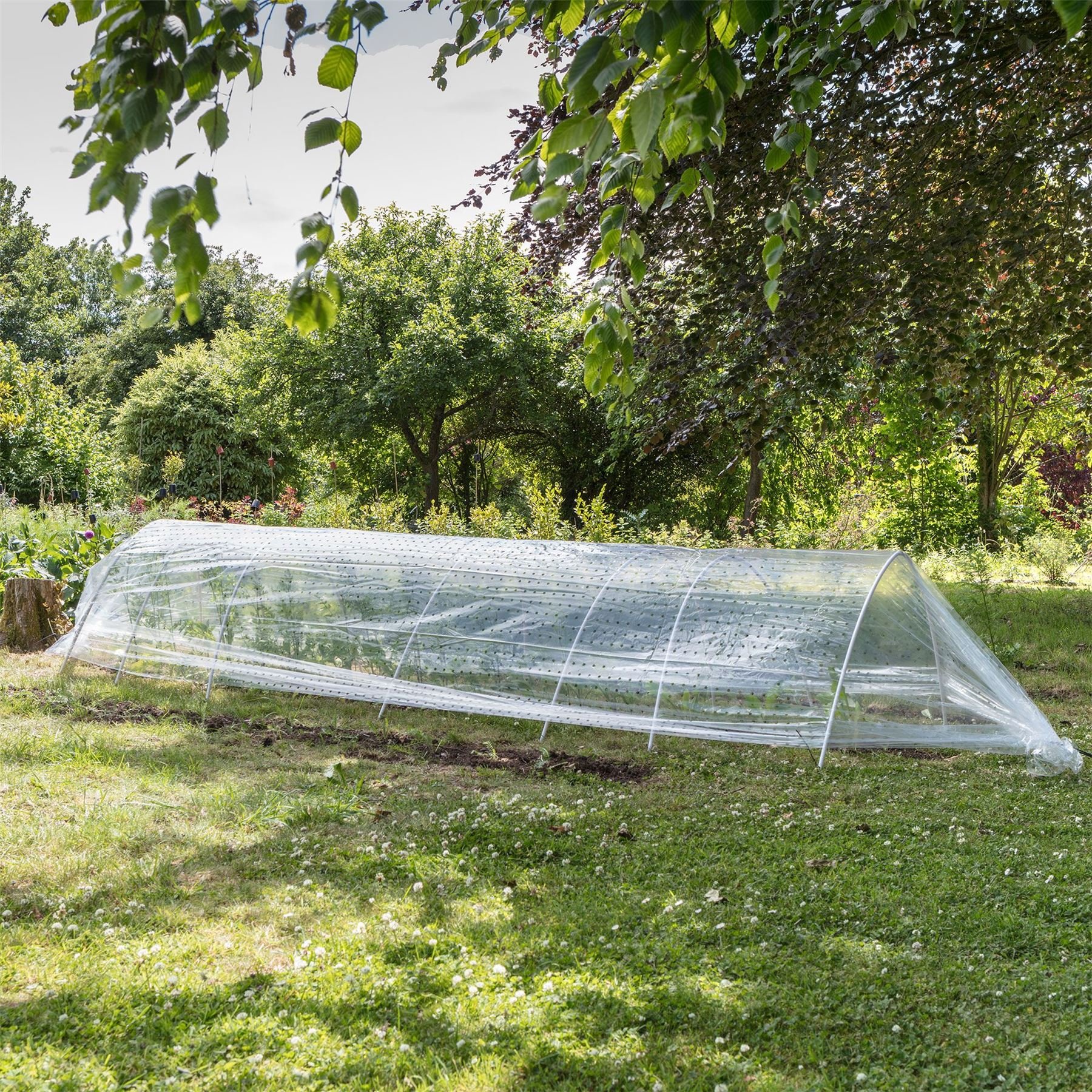 1x 5 Metre Clear Vegetable Fruit Polytunnel Grow Tunnel Steel Frame