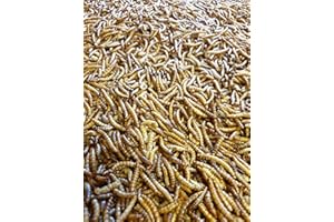 DIRECT DEALS 123 Premium Dried Mealworms 2kg for Wild Birds, Protein-Rich Mealworms, Ideal Food for Small Birds, Fresh Convenient Wild Bird Feed & Mealworm Bird Feeder Treats (2 KG)
