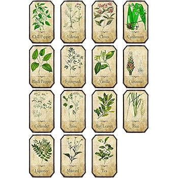 50 Washable Plastic Herb and Spice Jar Labels. Colourful, Attractive Pictures of 50 Herbs And ...