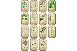 Lot de 15 étiquettes style vintage apothicaire pour épices et herbes aromatiques dos adhésif en vinyle résistant à l’eau et à l’huile