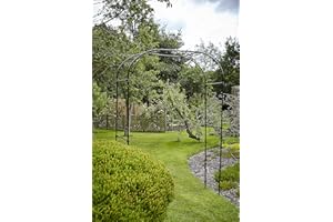 RUDDINGS WOOD 1.5m Wide Black Garden Arch Archway Entrance Climbing Rose Plant Trellis