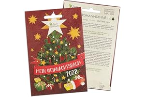 Nordmanntanne zum Pflanzen: Premium Samen für 5x Nordmanntanne – Tannenbaum für Garten – Samen – Saatgut v. OwnGrown