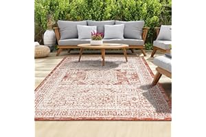 homeart Outdoor Rug - Easy-Clean, Durable, Stain-Resistant, Weather & UV Resistant Indoor & Outdoor Rugs for Porch, Deck, Balcony, Garden, Picnic and Patio | Vintage Terra, Cream - 200x290cm