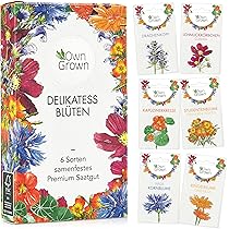 Waldmeister Samen 800 Stück - Kräutersamen Für Garten Und Balkon