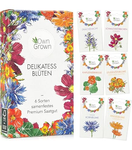 Tohum Essbare Farn-Gemsesamen, seltene Liebe Farn-Samen, Kletterpflanzen  fr Zuhause, Garten, Zierpflanze, Semillas, 100 Stck/Beutel : Amazon.de:  Garten
