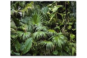 murando Papier peint intissé 3D Effet 400x280 cm Décoration Murale XXL Poster Tableaux Muraux Tapisserie Photo Trompe l'oeil Ornament Feuilles Feuillage tropical Monstera b-B-0312-a-a