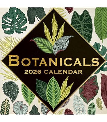 Otter House 2026 London Large Month To View Wall Calendar | Morgan's Direct Limited