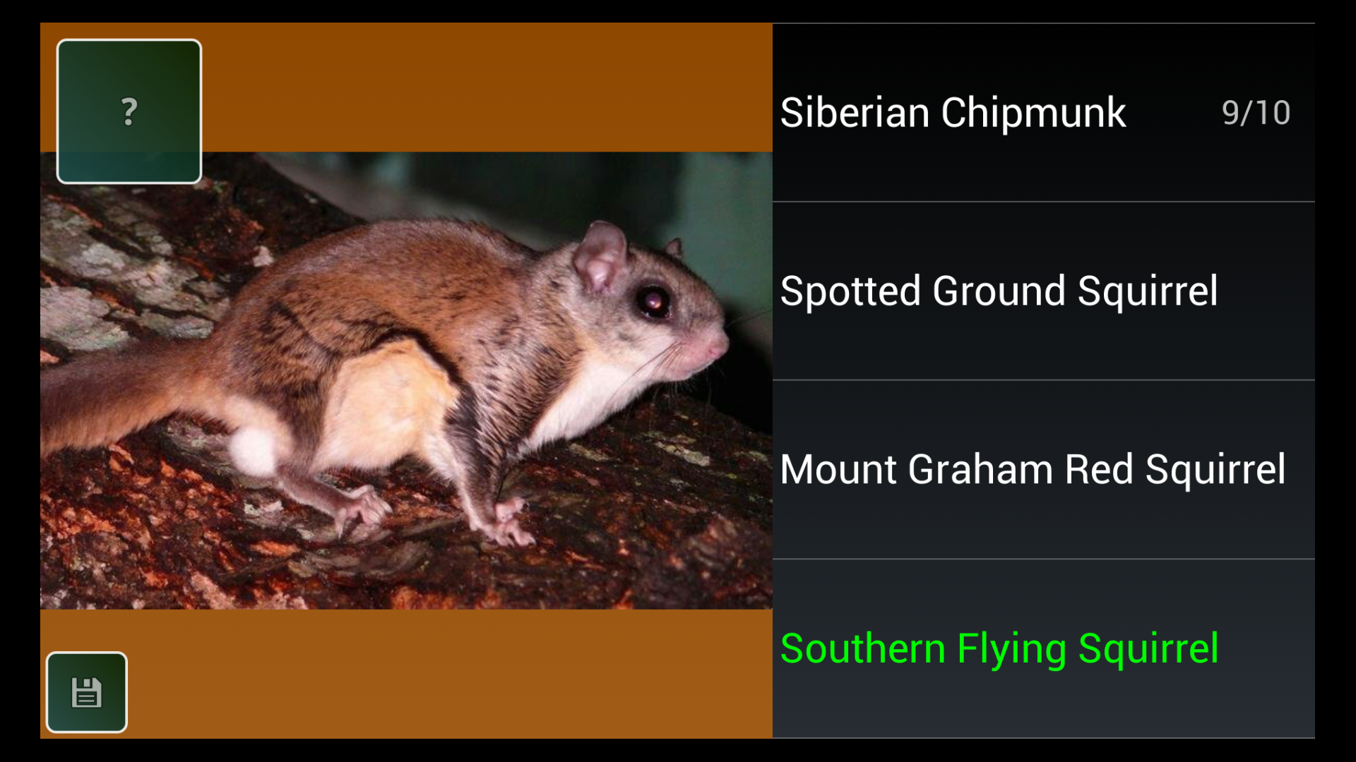 Rodent Species Trivia Quiz Amazon.co.uk Appstore for Android