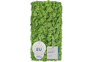 Deko Moos TEST SEHR GUT - Islandmoos 500g, waldgrün - Schwer entflammbar Made in EU – Konserviertes für Moosbild oder Mooswand - zum Basteln, Natur