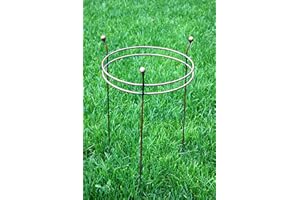 GAP GARDEN PRODUCTS Double Ring Plant Support (Bare Metal Ready 2 Rust) Small (Pack of 4)