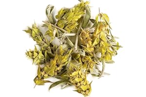 ‎VALLEY OF TEA Griechischer Berg Kräutertee Bio Handverlesen - Ironwort Tee - Sidertis Scardia - Hirte'S Griechisch Tee Griechische Bergtee Griechisches Bergtee Bergkrautertee