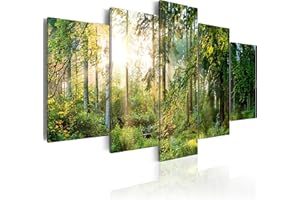 murando Impression sur toile intissee 200x100 cm tableau tableaux decoration murale photo image artistique photographie graphique 5 parties Paysage Foret Nature Arbre c-C-0033-b-n