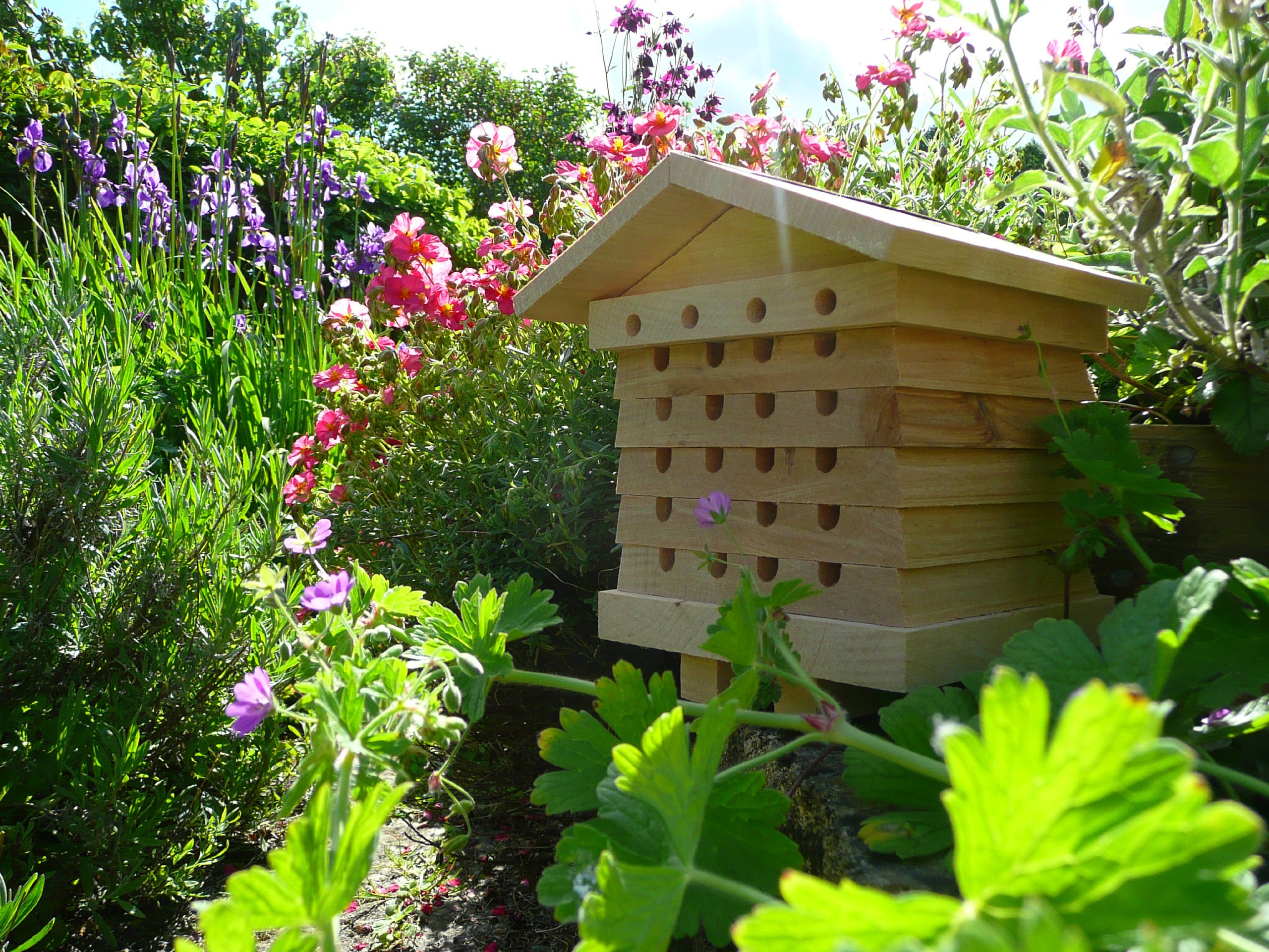Wildlife World Alveare per api solitarie