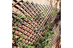 GARDENING NATURALLY Xs Exp Willow Trellis Tan 1.8x0.3m