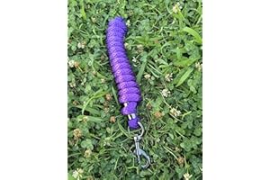 TGW Riding Führstrick für Pferd - Anbindestrick in verschiedenen stylischen Designs, 2.6METERS Führleine, Anbindeseil Pony, Esel, Ziege (violett, Black Clip)