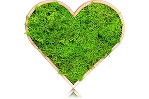 ‎MOOSLY Moosly® Moosbild - Herz groß - mit Rahmen aus Holz, Moos Deko Zeichen Symbol Zahl Holzbuchstabe mit echtem Islandmoos Wandtattoo Wandsticker Wandbild selbstklebend Wohnzimmer (101 Herz groß)