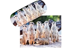 VON LILIENFELD Brillenetui Motiv Etui Brille Mikrofaser Brillenputztuch Brillenbox Stabiles Hardcase Set mit Stoff bezogen