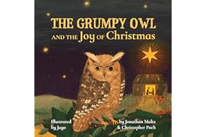 The Grumpy Owl and the Joy of Christmas