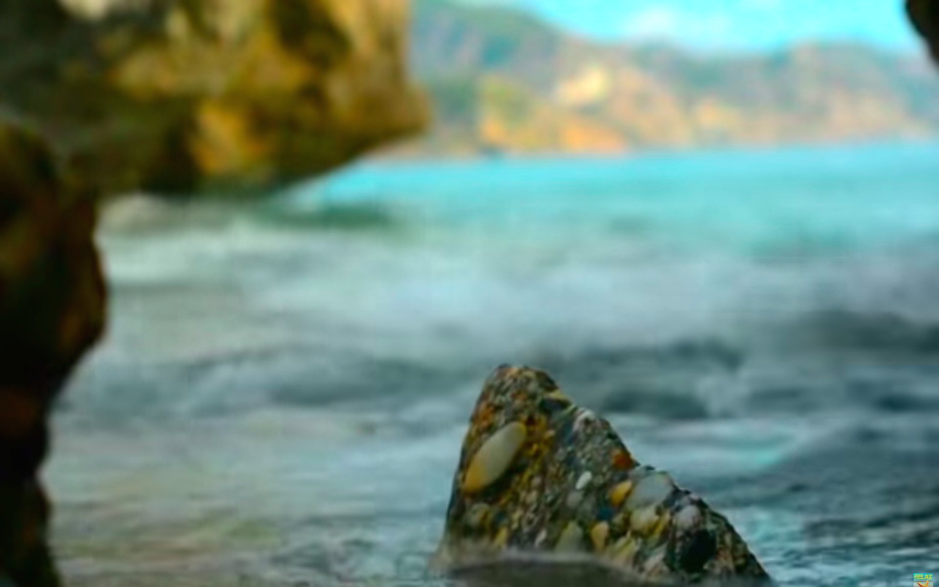 Zen TV Amazon.co.uk Apps & Games