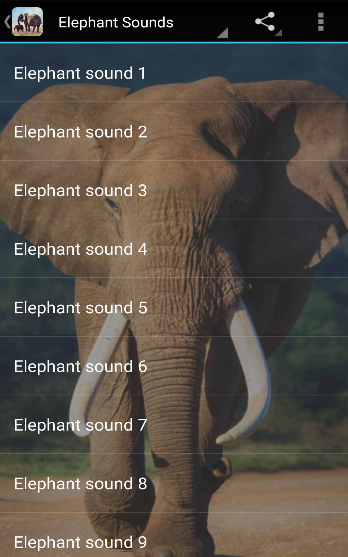 Comment On Dit éléphant En Anglais Elephant Sounds: Amazon.fr: Appstore pour Android