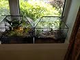 Terrarium Géométrique Irrégulier NCYP – Verre & Étain Style Roche 27,4x21,1x17 Cm, Idéal Plantes Grasses & Micro-Paysage