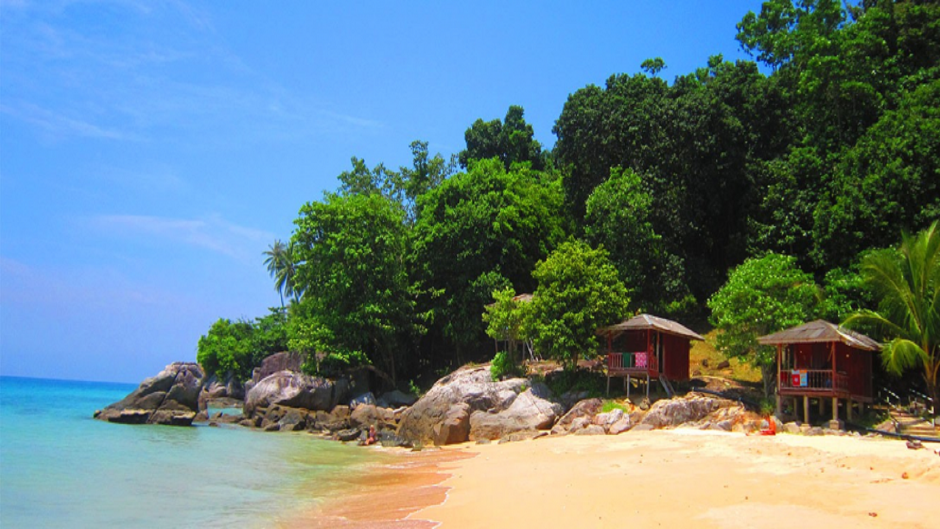 Blacktube: Amazon.it: Appstore per Android