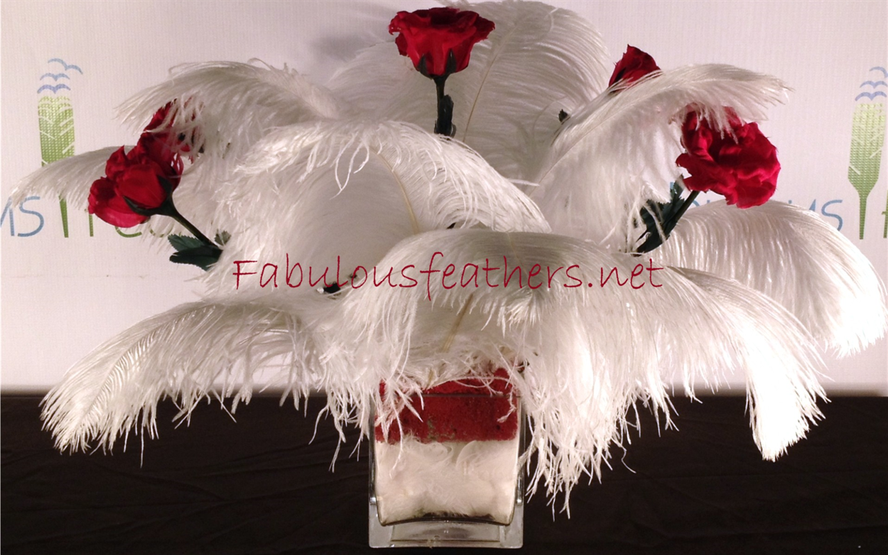 Fabulous Feathers Inc. Amazon.co.uk Apps & Games