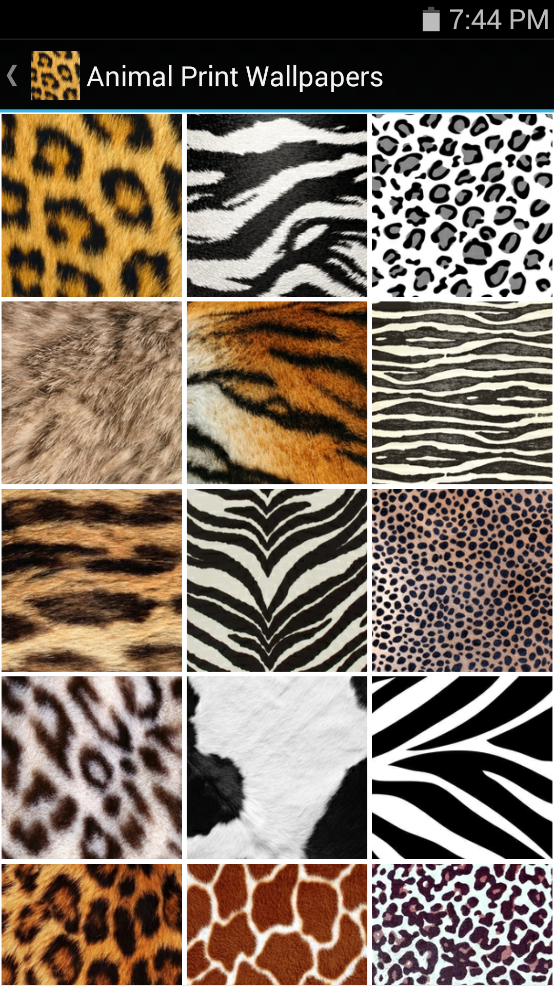 Animal Print Wallpapers: Amazon.co.uk: Appstore for Android