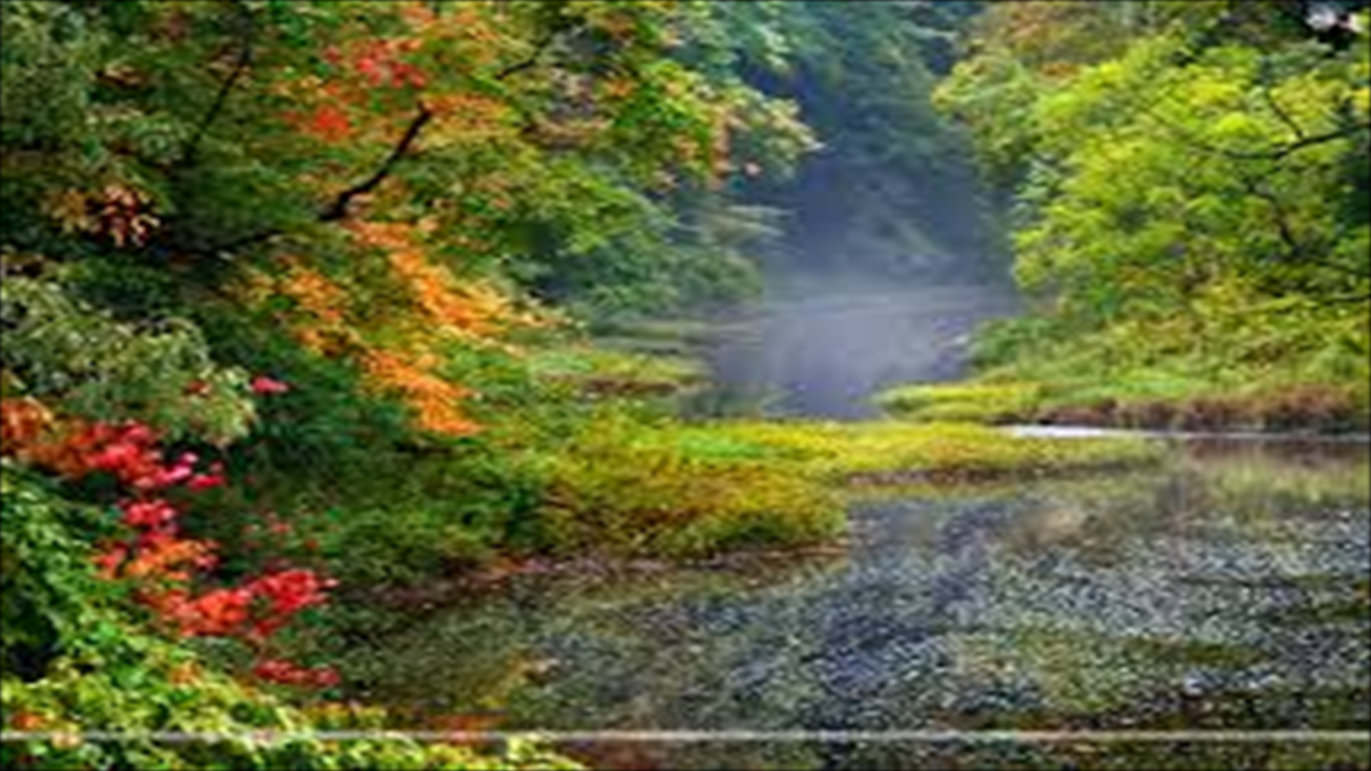 Amazon Landscape