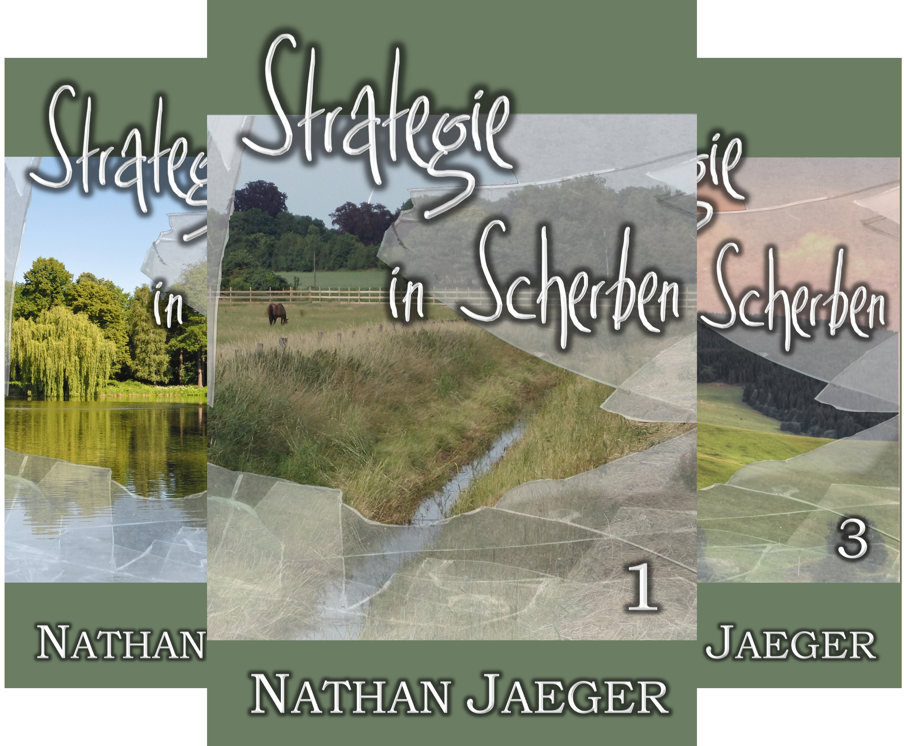 Strategie in Scherben (Reihe in 4 Bänden)