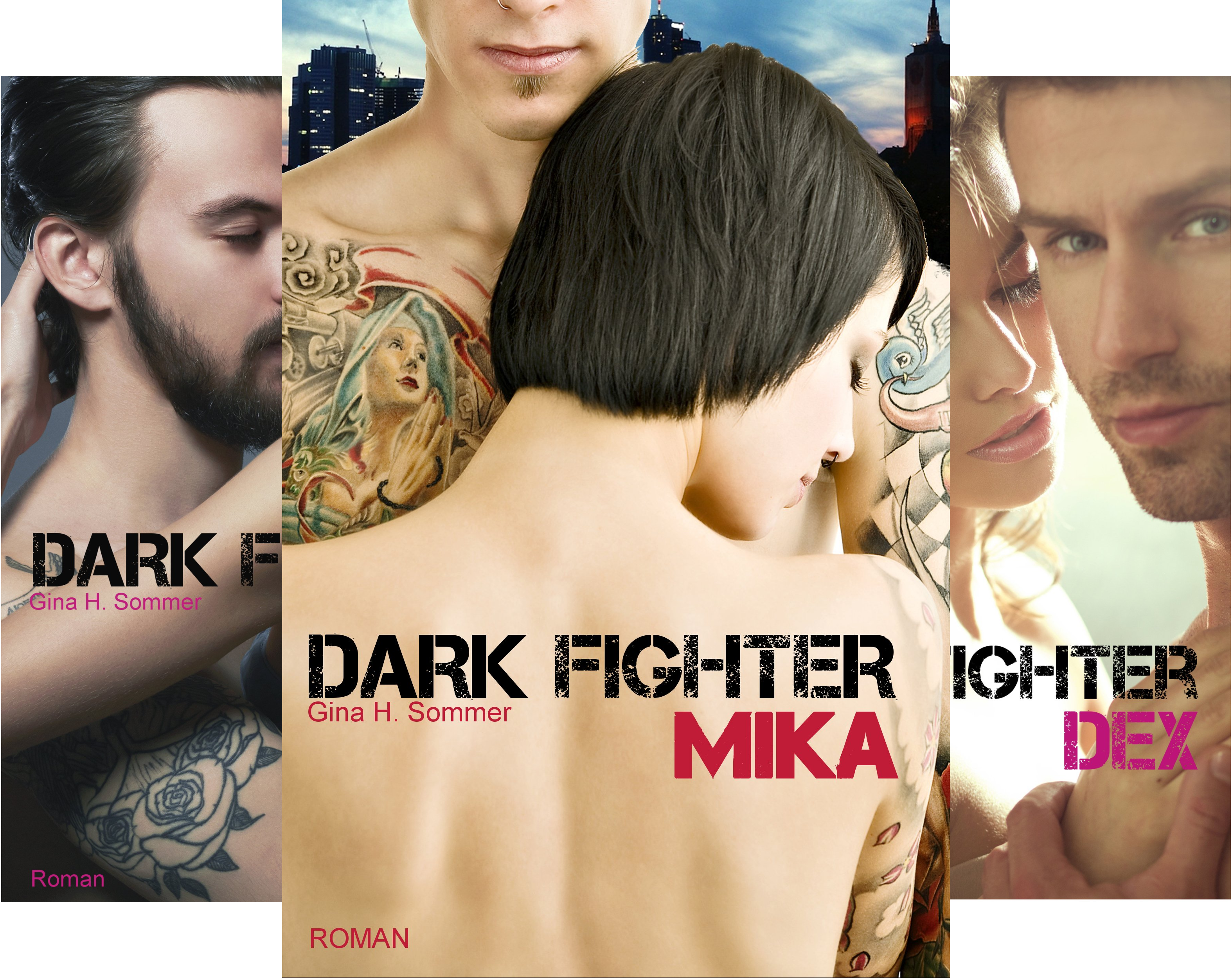 Dark Fighter (Reihe in 3 Bänden)