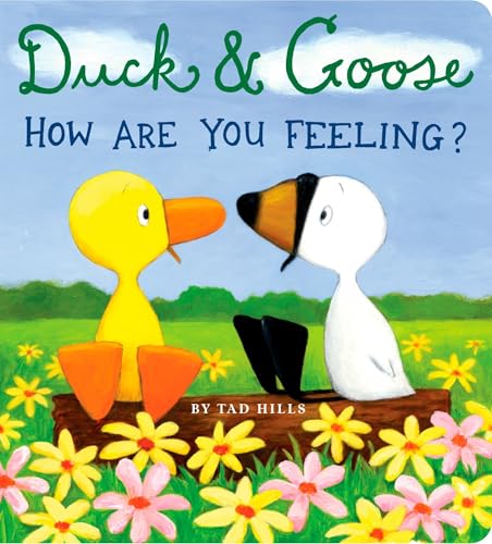 Duck   Goose  How Are You Feeling 