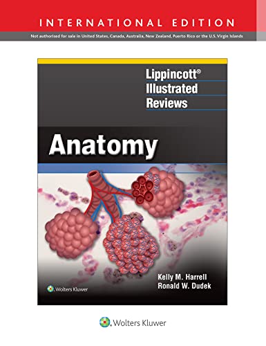 Lir Anatomy (Int Ed) PB