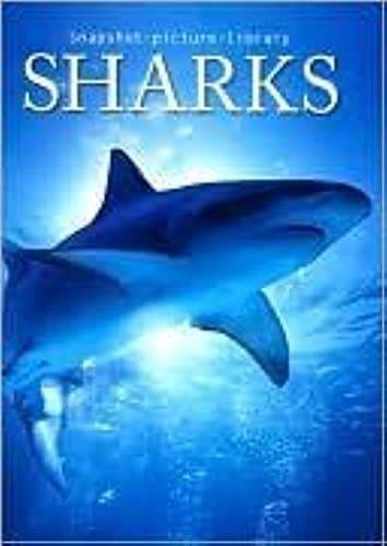 Sharks (Snapshot Picture Library Series) [Hardcover]