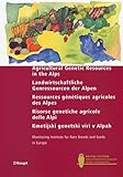 Cover des Mediums
