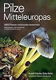 Cover des Mediums