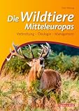 Cover des Mediums
