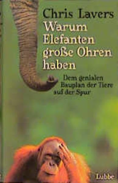 Umschlag