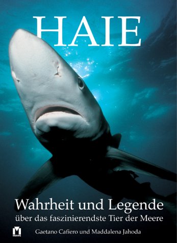 Buchcover: Haie (Gaetano Cafiero, Maddalena Jahoda)