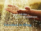 Cover des Mediums