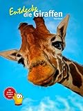 Cover des Mediums