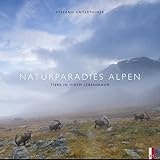 Cover des Mediums