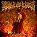 [Cradle of Filth - Nymphetamine]