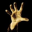 [System of a Down]
