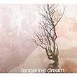 Tangerine Dream : Live in America 1992 - �dition Limit�e [inclus 1 CD audio] - DVD